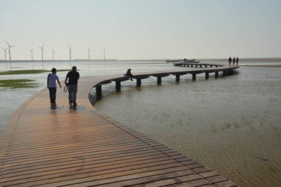 高美濕地木棧道檢修提早完成　全線開放